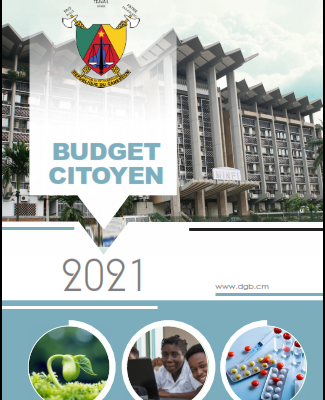 Budget citoyen 2021