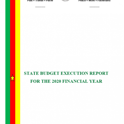 State Budget Execution Report for the 2020 Financial Year