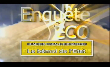 Charges fiscalo-douanières - Le bémol de l'Etat