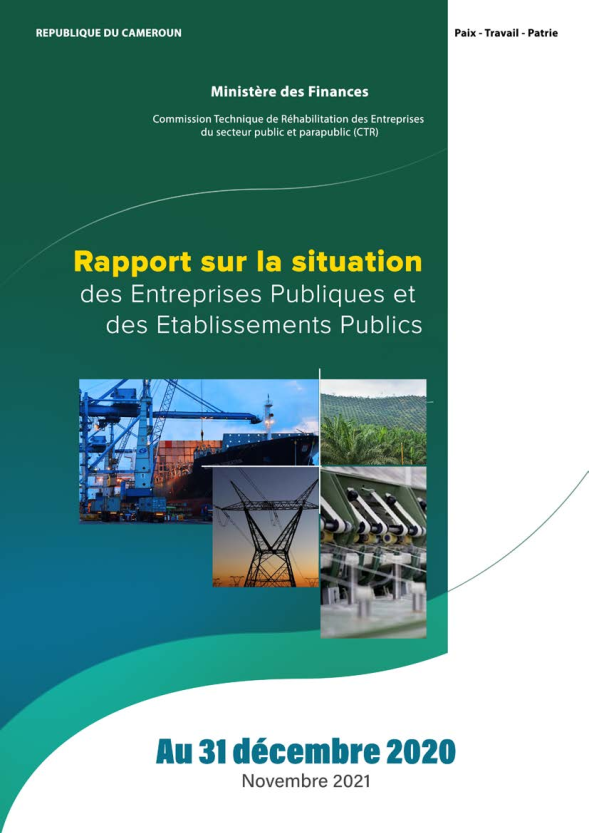 Rapport annuel sur la situation des entreprises publiques et Etablissements Publics au 31 décembre 2020