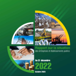 Plaquette du rapport sur la situation des entreprises et établissements publics au 31 décembre 2022