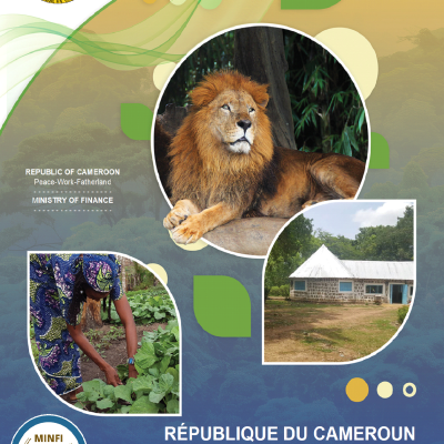 Cameroon Sustainable Financing Framework