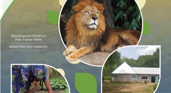 CADRE DE FINANCEMENT DURABLE DE LA REPUBLIQUE DU CAMEROUN