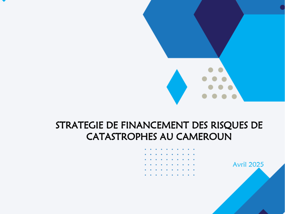 RAPPORT STRATEGIE DES FINANCEMENTS DES RISQUES DE CATASTROPHES AU CAMEROUN