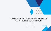 RAPPORT STRATEGIE DES FINANCEMENTS DES RISQUES DE CATASTROPHES AU CAMEROUN