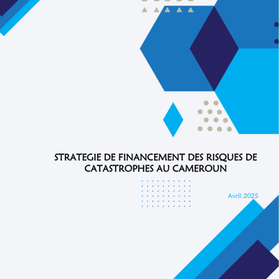 RAPPORT STRATEGIE DES FINANCEMENTS DES RISQUES DE CATASTROPHES AU CAMEROUN