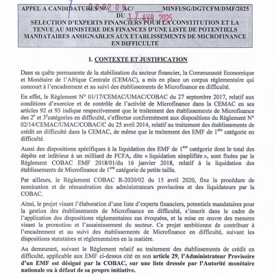 Texte portant appel à candidature relatif à la sélection d'experts financiers pour la constitution et la tenue au Ministère des Finances d'une liste de potentiels mandataires assignables aux établissements de microfinance en difficulté.