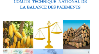 REPORT OF THE NATIONAL BALANCE OF PAYMENTS TECHNICAL COMMITTEE